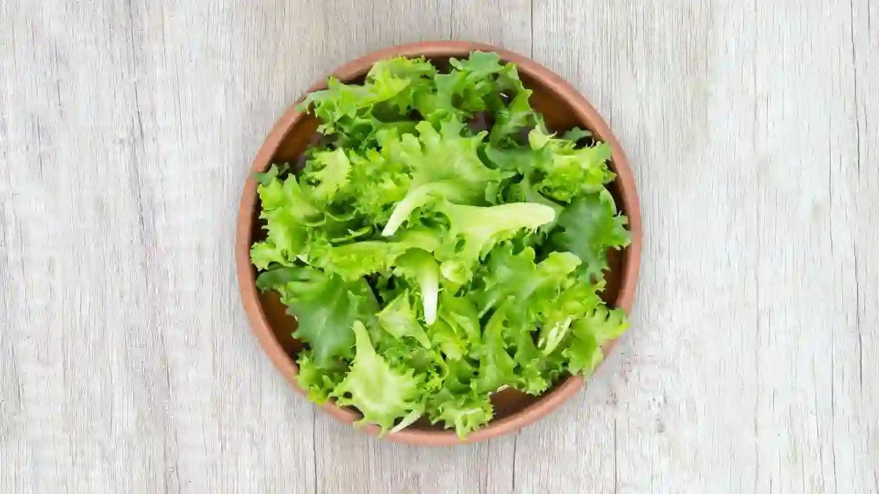 lettuce kept on table for gerbils
