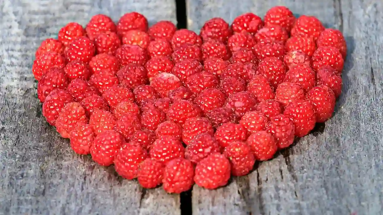 raspberries on table for gerbils
