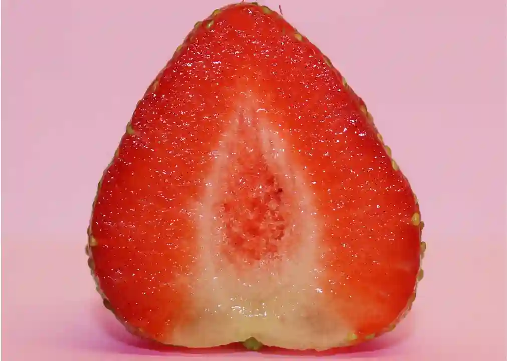 cut strawberry for gerbils